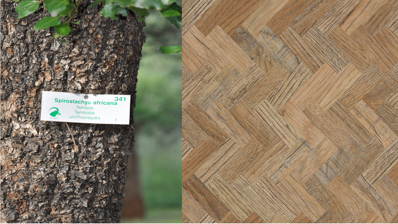 Flooring - biophilia